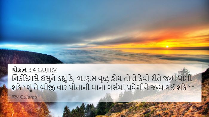 યોહાન 3:4 GUJIRV Bible Verse Image