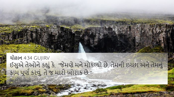 યોહાન 4:34 GUJIRV Bible Verse Image