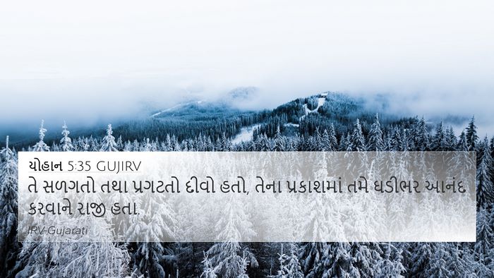 યોહાન 5:35 GUJIRV Bible Verse Image