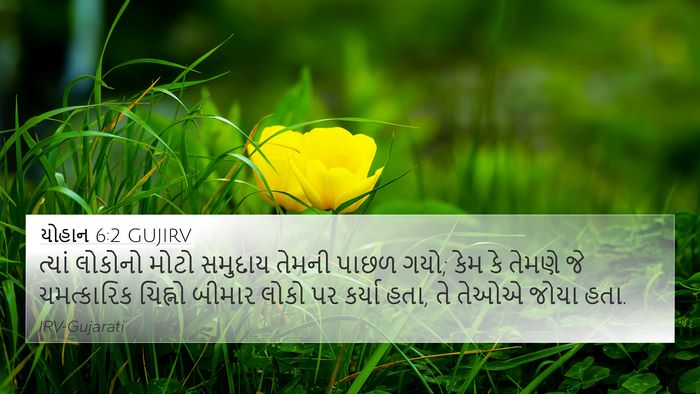 યોહાન 6:2 GUJIRV Bible Verse Image
