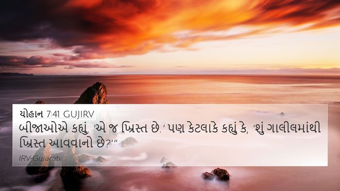 યોહાન 7:41 GUJIRV Bible Verse Image