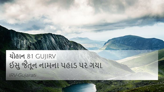 યોહાન 8:1 GUJIRV Bible Verse Image