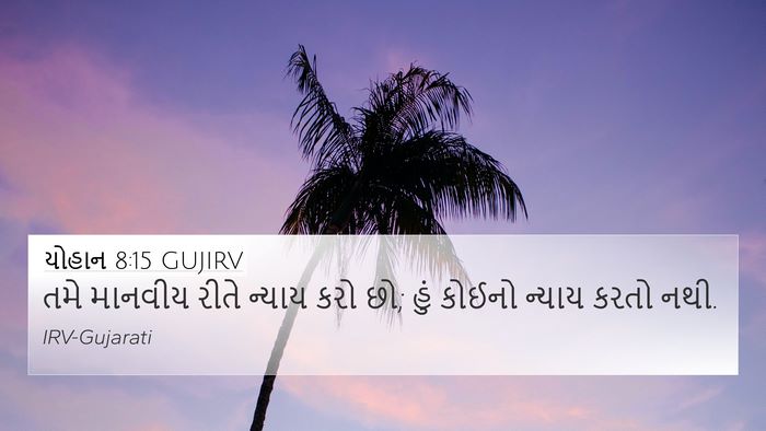 યોહાન 8:15 GUJIRV Bible Verse Image