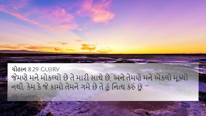 યોહાન 8:29 GUJIRV Bible Verse Image
