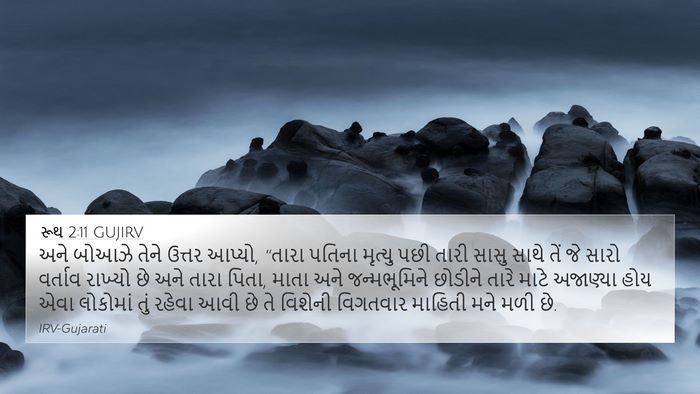 રૂથ 2:11 GUJIRV Bible Verse Image