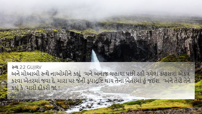 રૂથ 2:2 GUJIRV Bible Verse Image