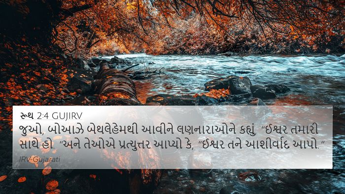 રૂથ 2:4 GUJIRV Bible Verse Image