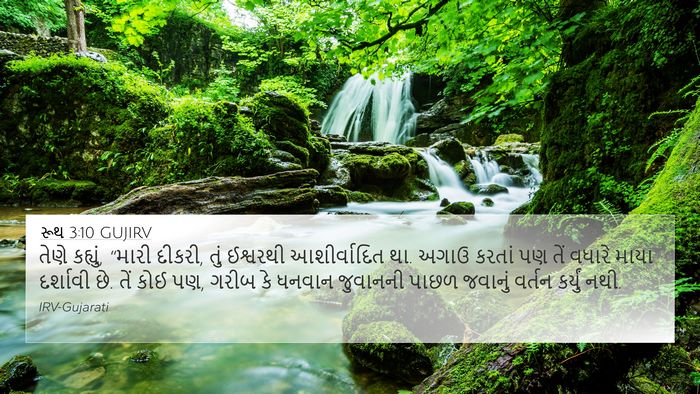 રૂથ 3:10 GUJIRV Bible Verse Image