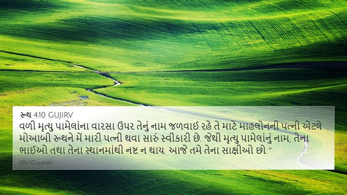 રૂથ 4:10 GUJIRV Bible Verse Image