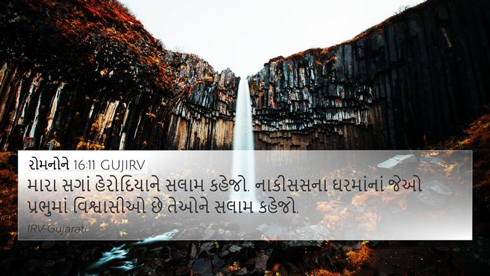 રોમનોને 16:11 GUJIRV Bible Verse Image