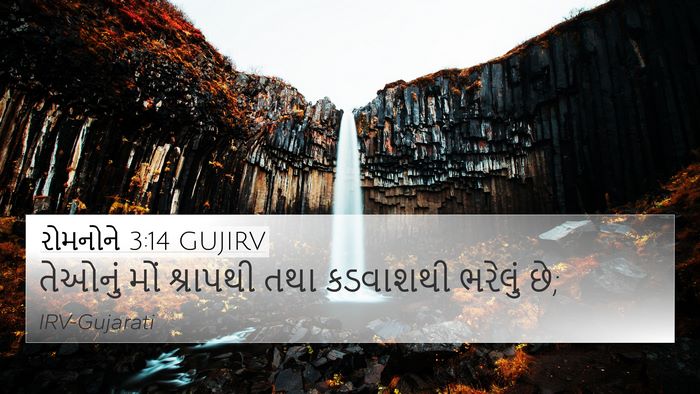 રોમનોને 3:14 GUJIRV Bible Verse Image