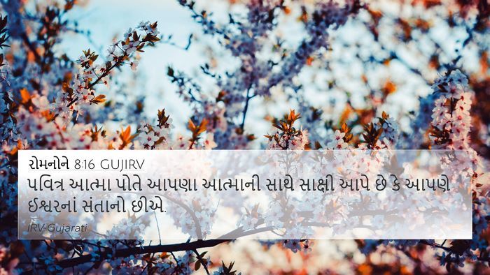 રોમનોને 8:16 GUJIRV Bible Verse Image