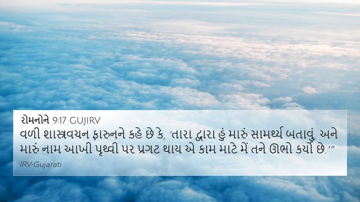 રોમનોને 9:17 GUJIRV Bible Verse Image