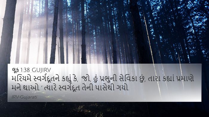 લૂક 1:38 GUJIRV Bible Verse Image