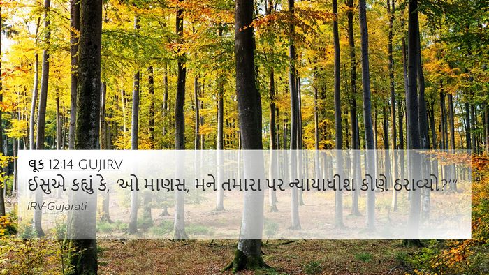 લૂક 12:14 GUJIRV Bible Verse Image