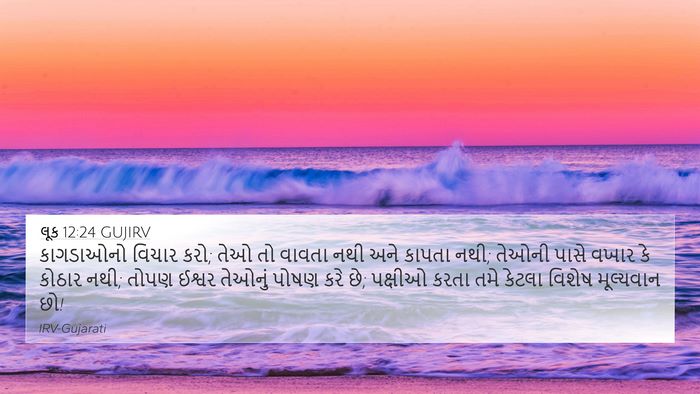 લૂક 12:24 GUJIRV Bible Verse Image