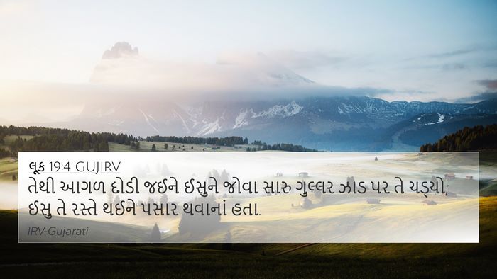 લૂક 19:4 GUJIRV Bible Verse Image