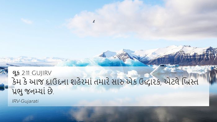 લૂક 2:11 GUJIRV Bible Verse Image