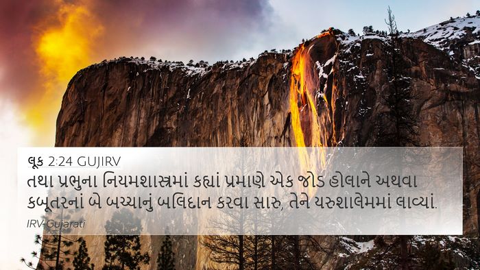 લૂક 2:24 GUJIRV Bible Verse Image