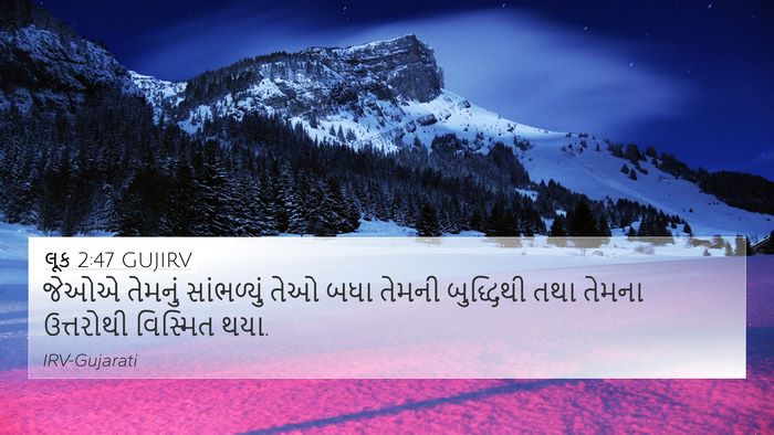 લૂક 2:47 GUJIRV Bible Verse Image
