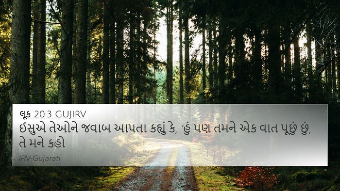 લૂક 20:3 GUJIRV 4K Wallpaper - ઈસુએ તેઓને જવાબ - 4K Wallpaper Bible Verse