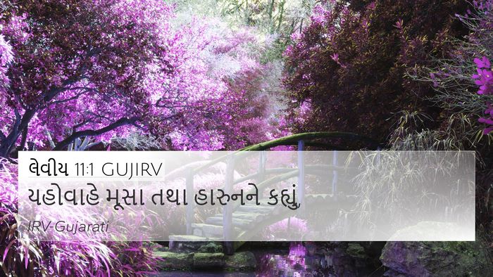 લેવીય 11:1 GUJIRV Bible Verse Image