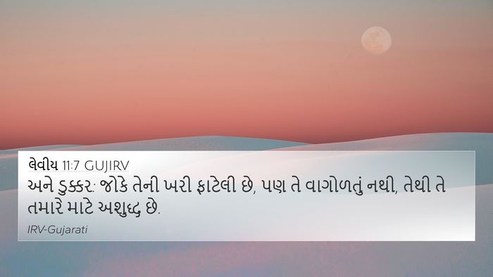 લેવીય 11:7 GUJIRV Bible Verse Image