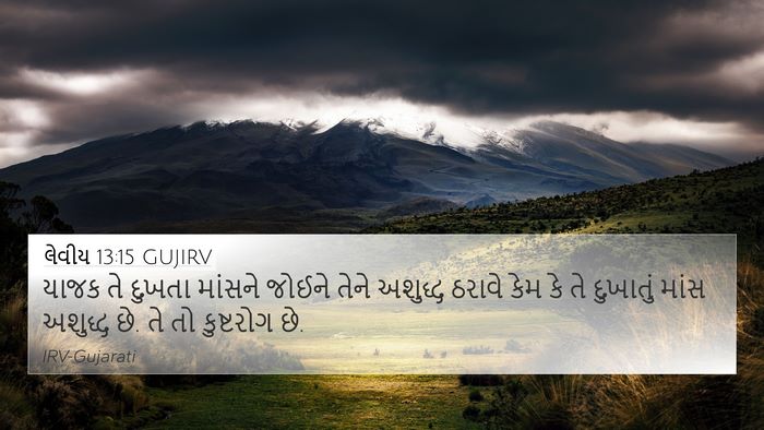 લેવીય 13:15 GUJIRV 4K Wallpaper - યાજક તે દુખતા - 4K Wallpaper Bible Verse