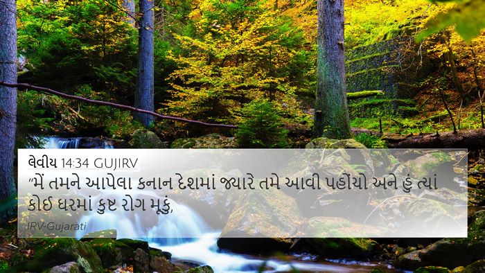 લેવીય 14:34 GUJIRV Bible Verse Image