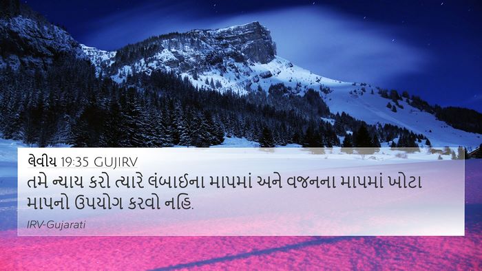 લેવીય 19:35 GUJIRV Bible Verse Image