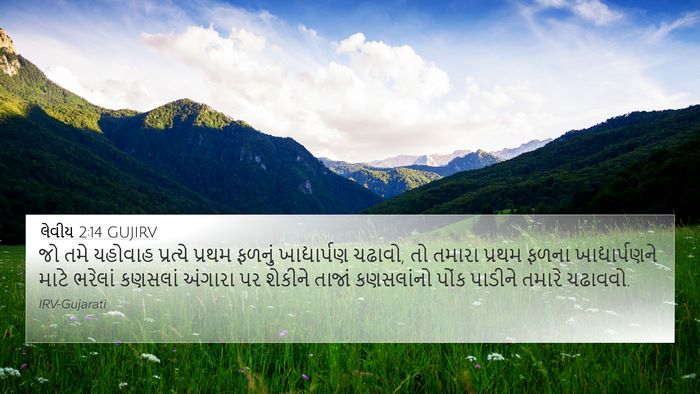 લેવીય 2:14 GUJIRV Bible Verse Image
