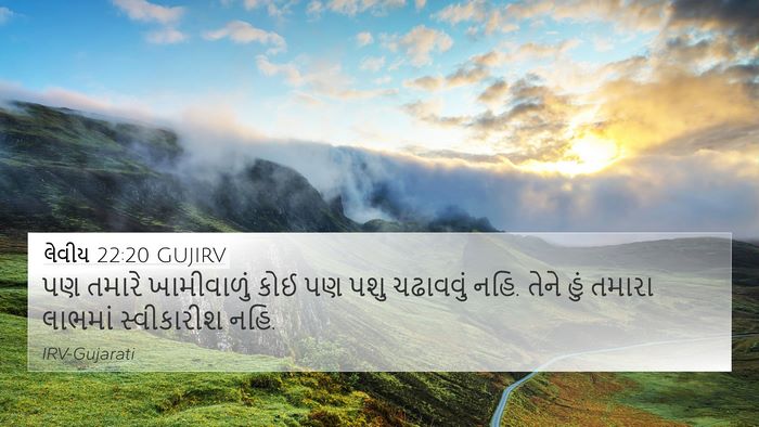 લેવીય 22:20 GUJIRV Bible Verse Image