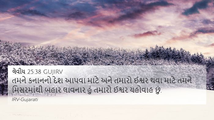 લેવીય 25:38 GUJIRV Bible Verse Image