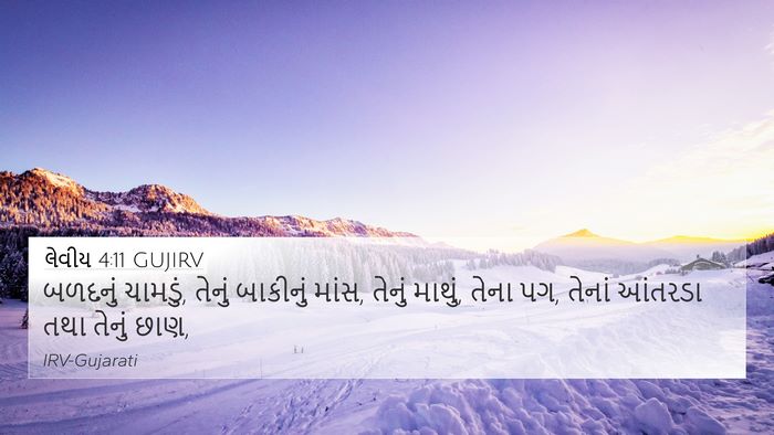 લેવીય 4:11 GUJIRV Bible Verse Image