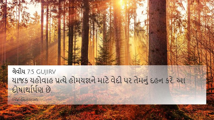 લેવીય 7:5 GUJIRV 4K Wallpaper - યાજક યહોવાહ - 4K Wallpaper Bible Verse