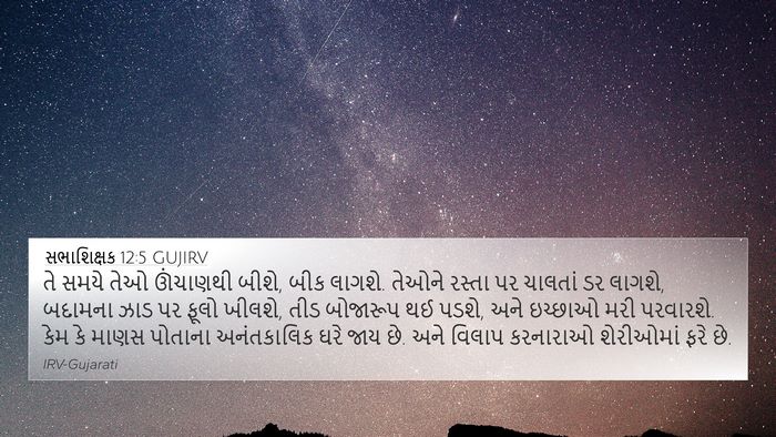 સભાશિક્ષક 12:5 GUJIRV Bible Verse Image
