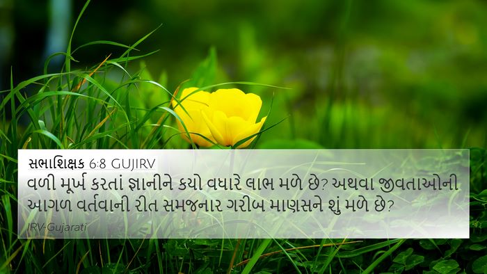 સભાશિક્ષક 6:8 GUJIRV Bible Verse Image