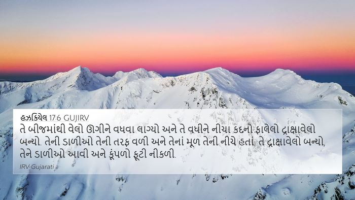 હઝકિયેલ 17:6 GUJIRV Bible Verse Image