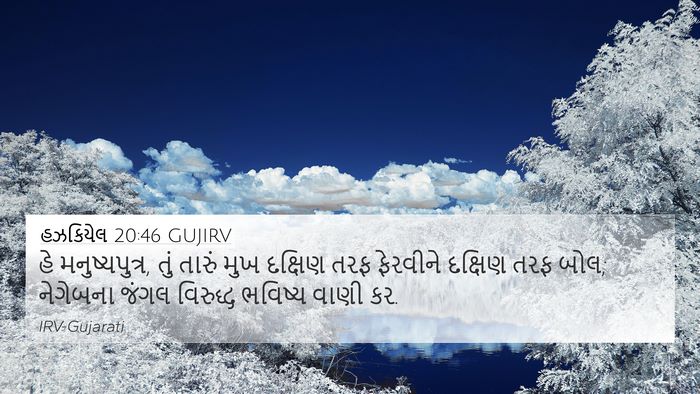 હઝકિયેલ 20:46 GUJIRV Bible Verse Image
