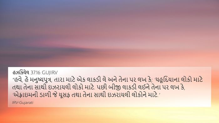 હઝકિયેલ 37:16 GUJIRV Bible Verse Image
