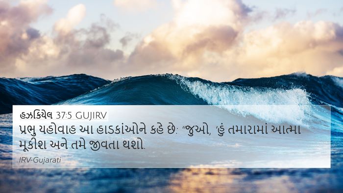 હઝકિયેલ 37:5 GUJIRV Bible Verse Image