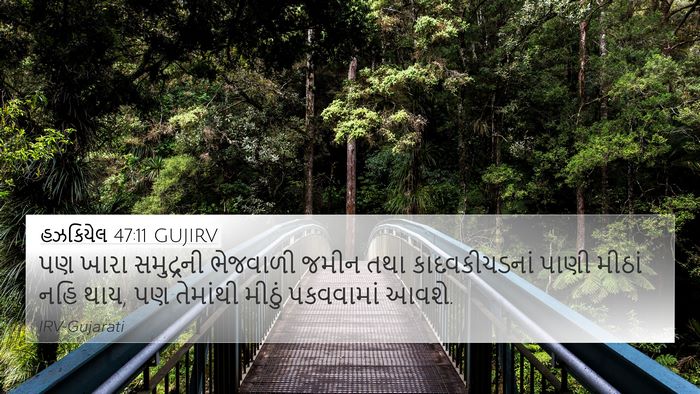 હઝકિયેલ 47:11 GUJIRV Bible Verse Image
