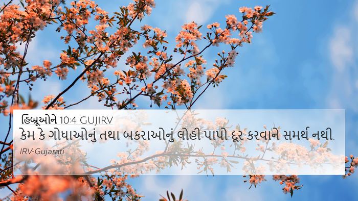 હિબ્રૂઓને 10:4 GUJIRV Bible Verse Image