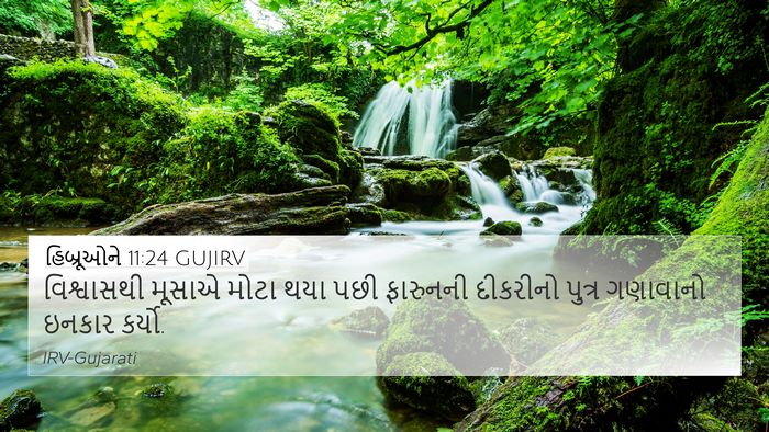 હિબ્રૂઓને 11:24 GUJIRV Bible Verse Image