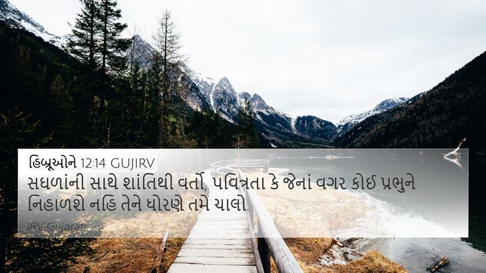 હિબ્રૂઓને 12:14 GUJIRV Bible Verse Image
