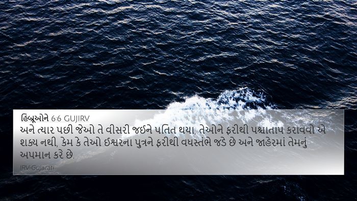 હિબ્રૂઓને 6:6 GUJIRV Bible Verse Image