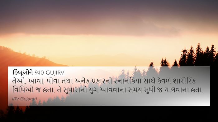 હિબ્રૂઓને 9:10 GUJIRV Bible Verse Image