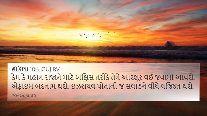 હોશિયા 10:6 GUJIRV Bible Verse Image
