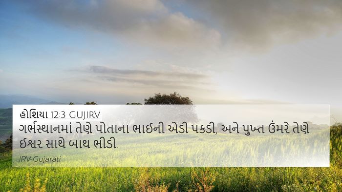 હોશિયા 12:3 GUJIRV Bible Verse Image