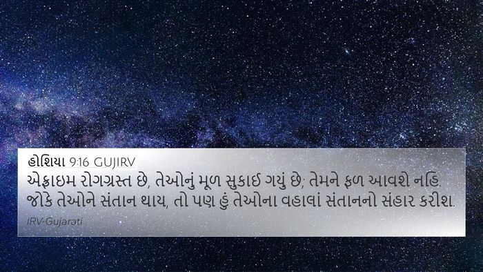હોશિયા 9:16 GUJIRV Bible Verse Image